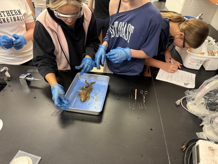 gr 10 science NCIVS 