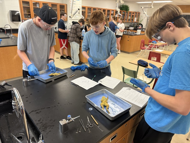 gr 10 science NCIVS 