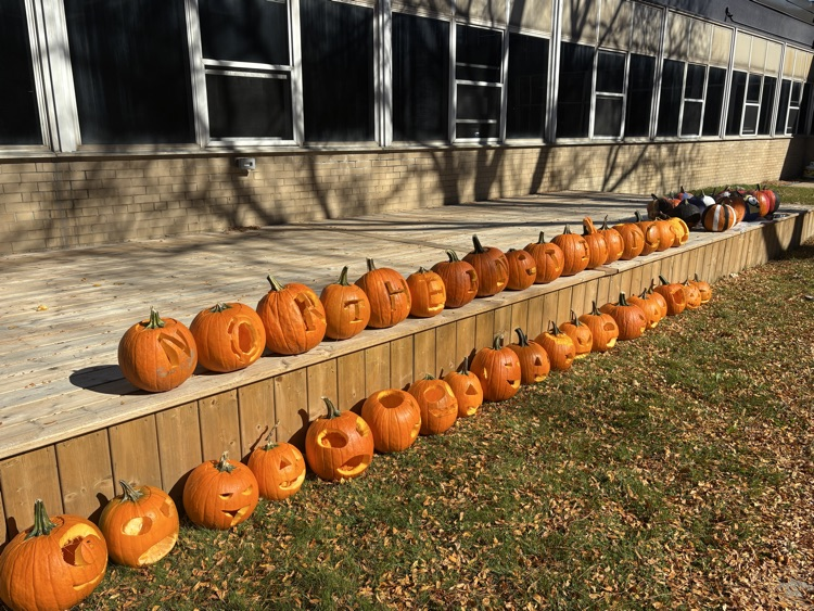 pumpkin 7