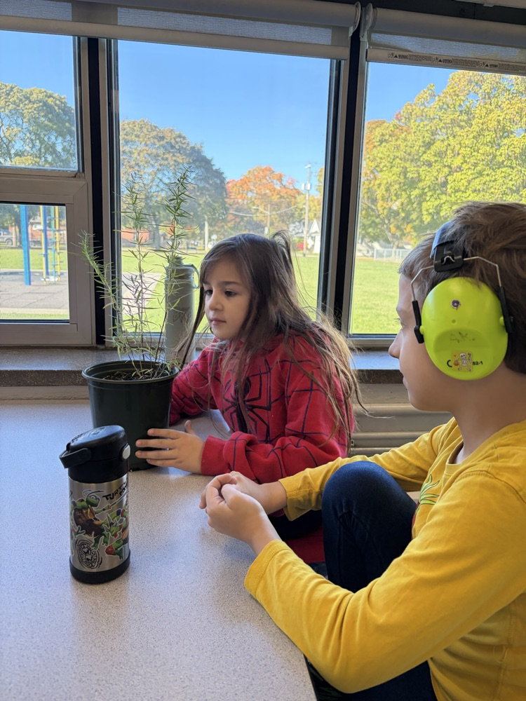 learning about plants