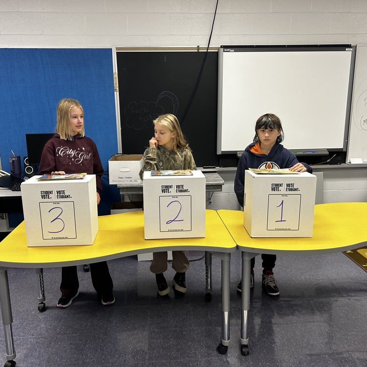 vote