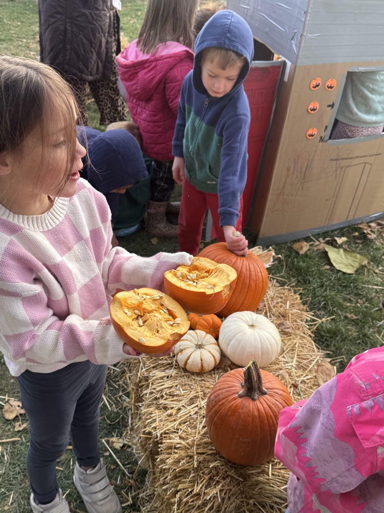 investigating squash