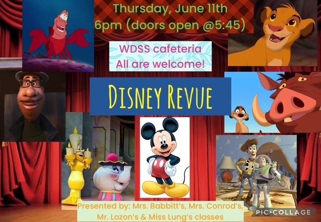 Disney Revue