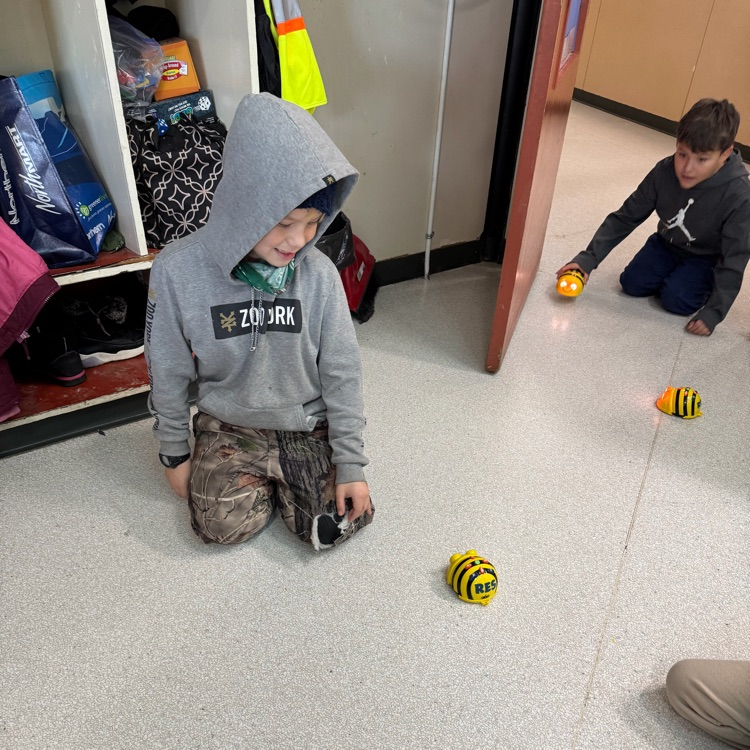 beebot