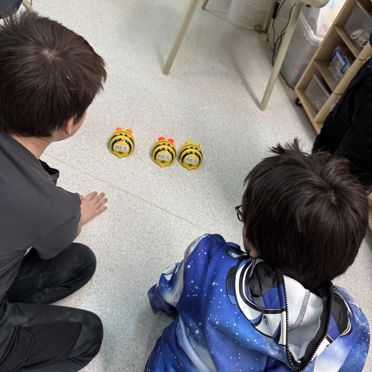 Beebots