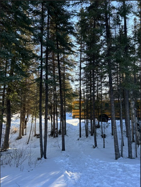 students out in the bush