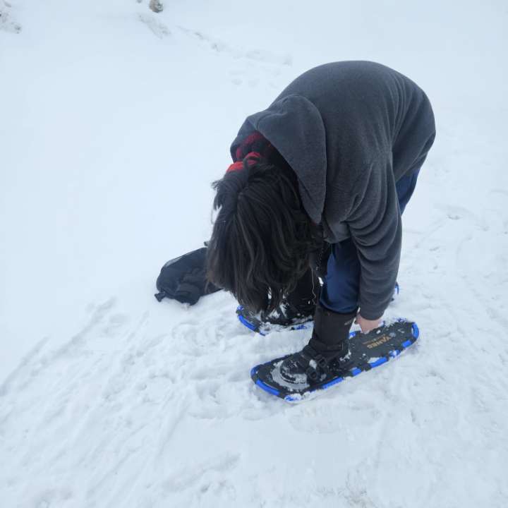 Snow shoeing