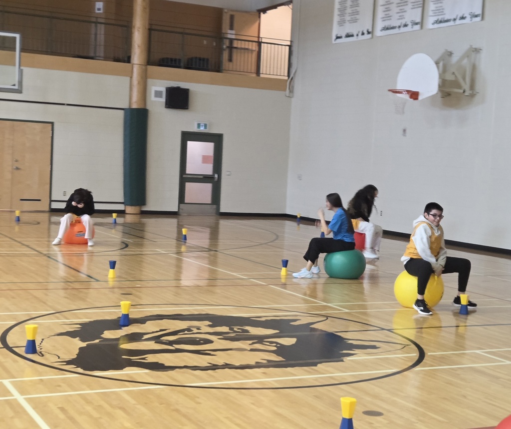 students in gym
