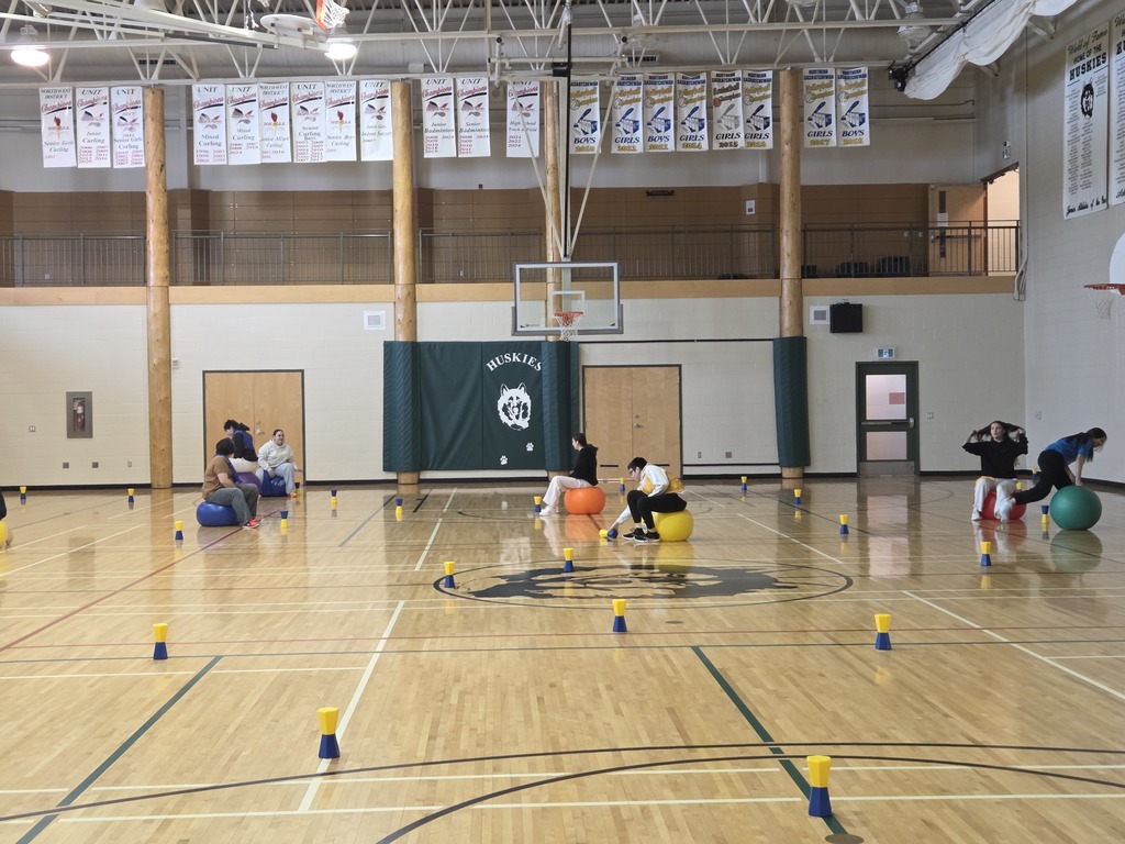 students in gym