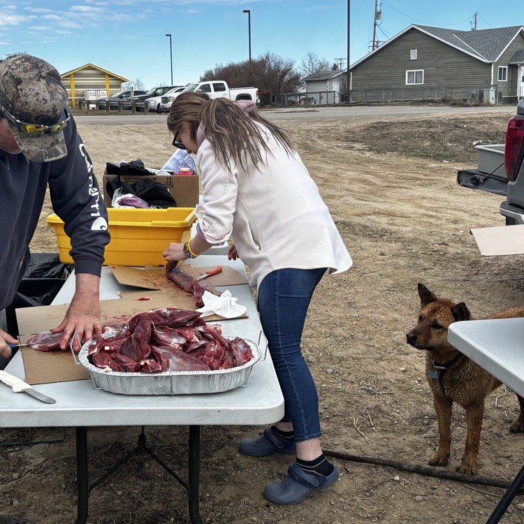moose meat cutting & guest