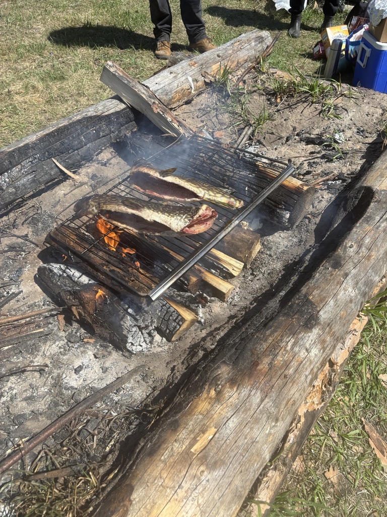 fish cooking