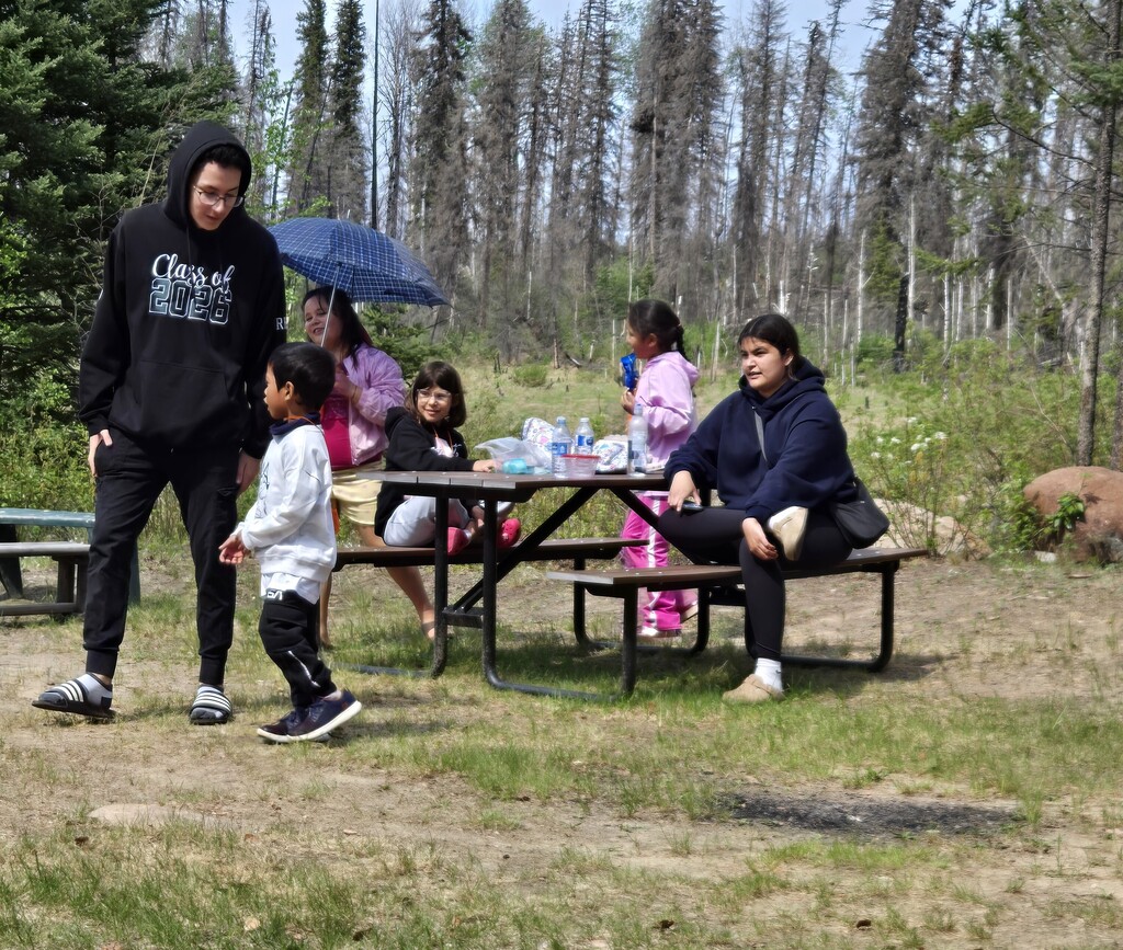 students out in the bush