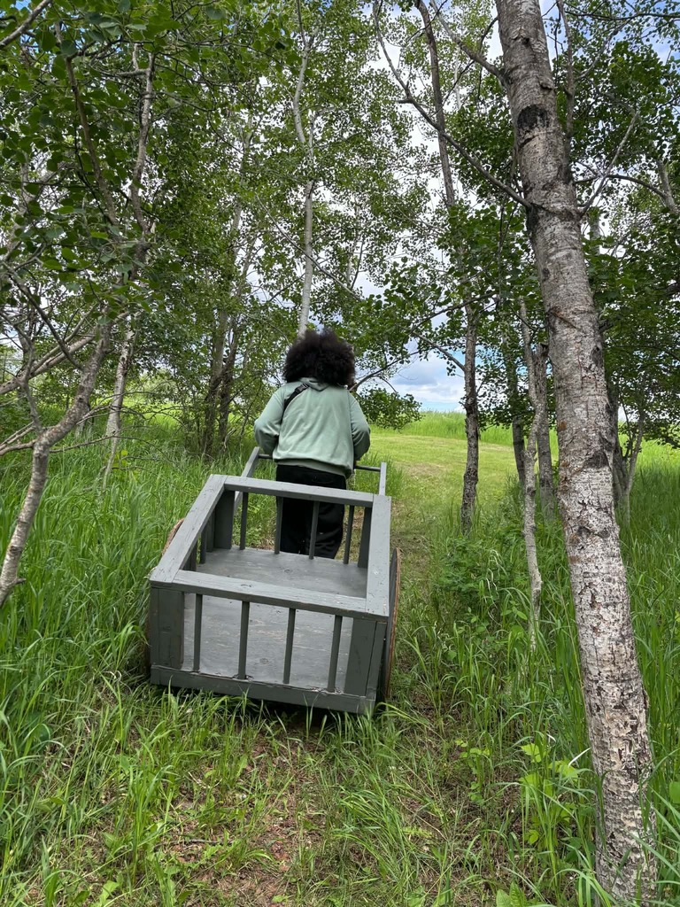 students out in the bush