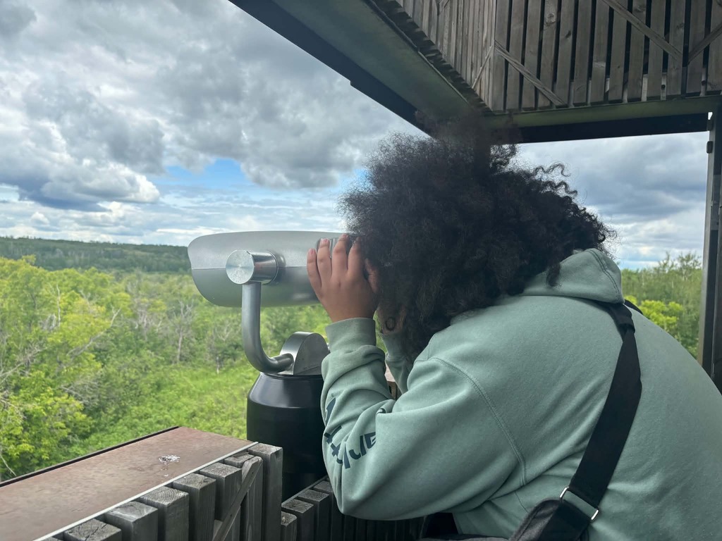 students out in the bush