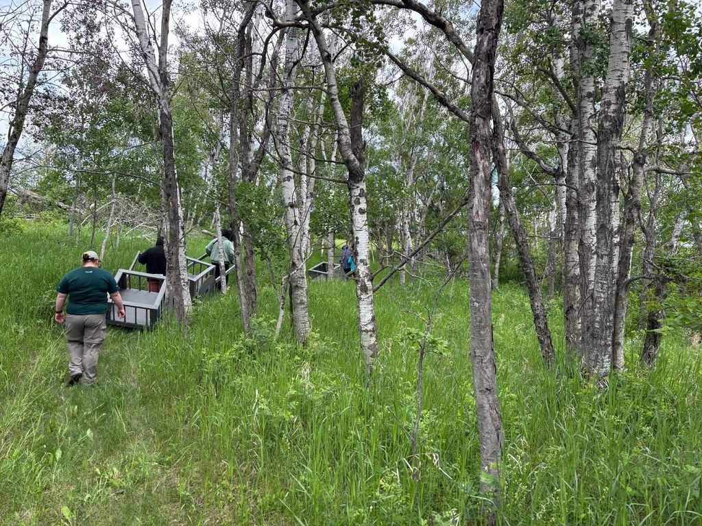 students out in the bush