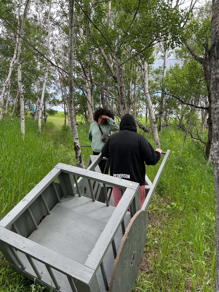 students out in the bush