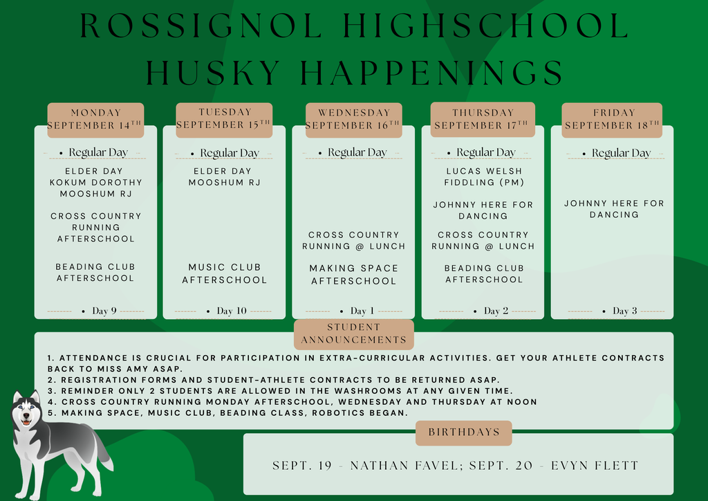 husky happenings