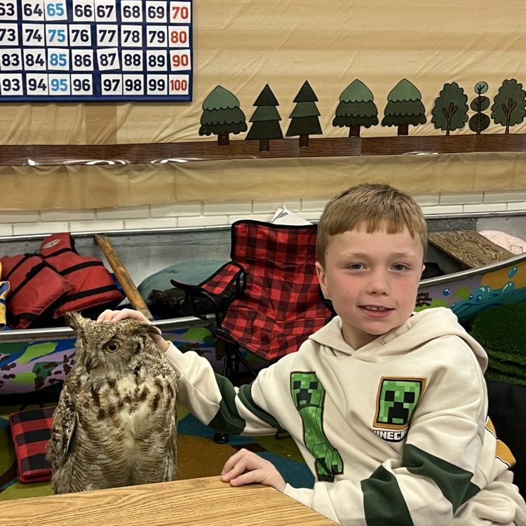 boy with owl