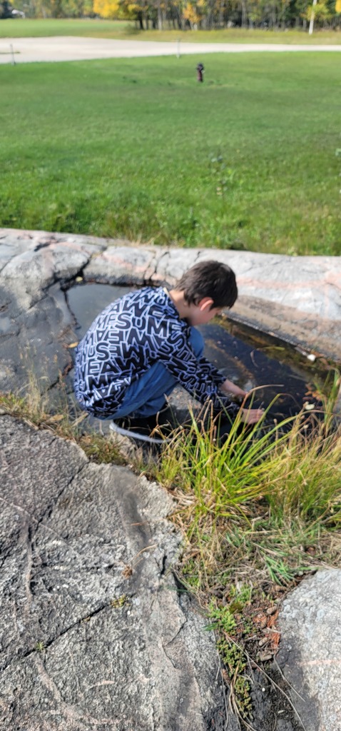pond