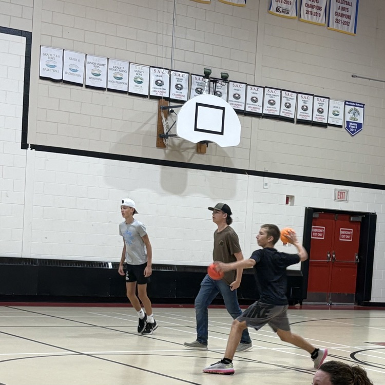 dodgeballdodgevall