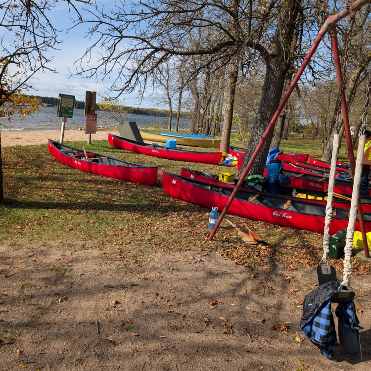 canoes