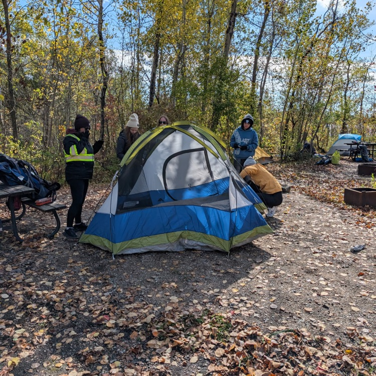 tents