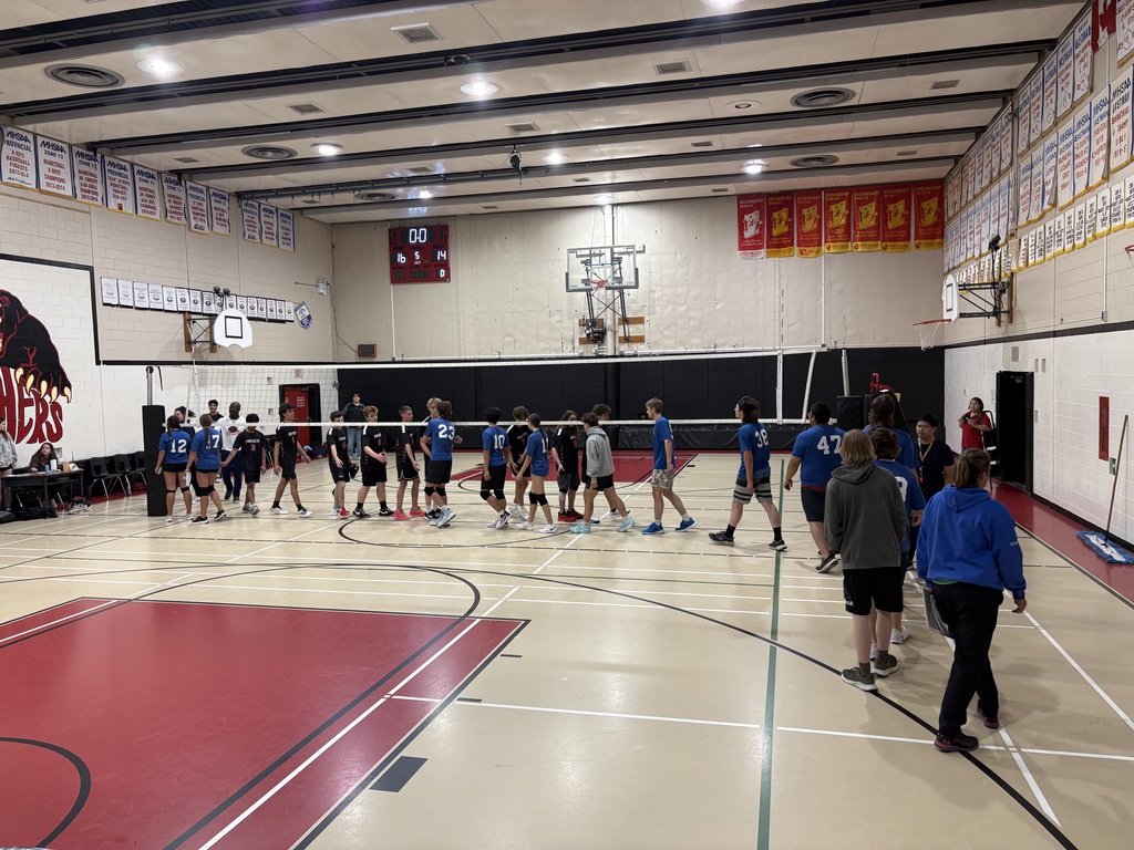 vball
