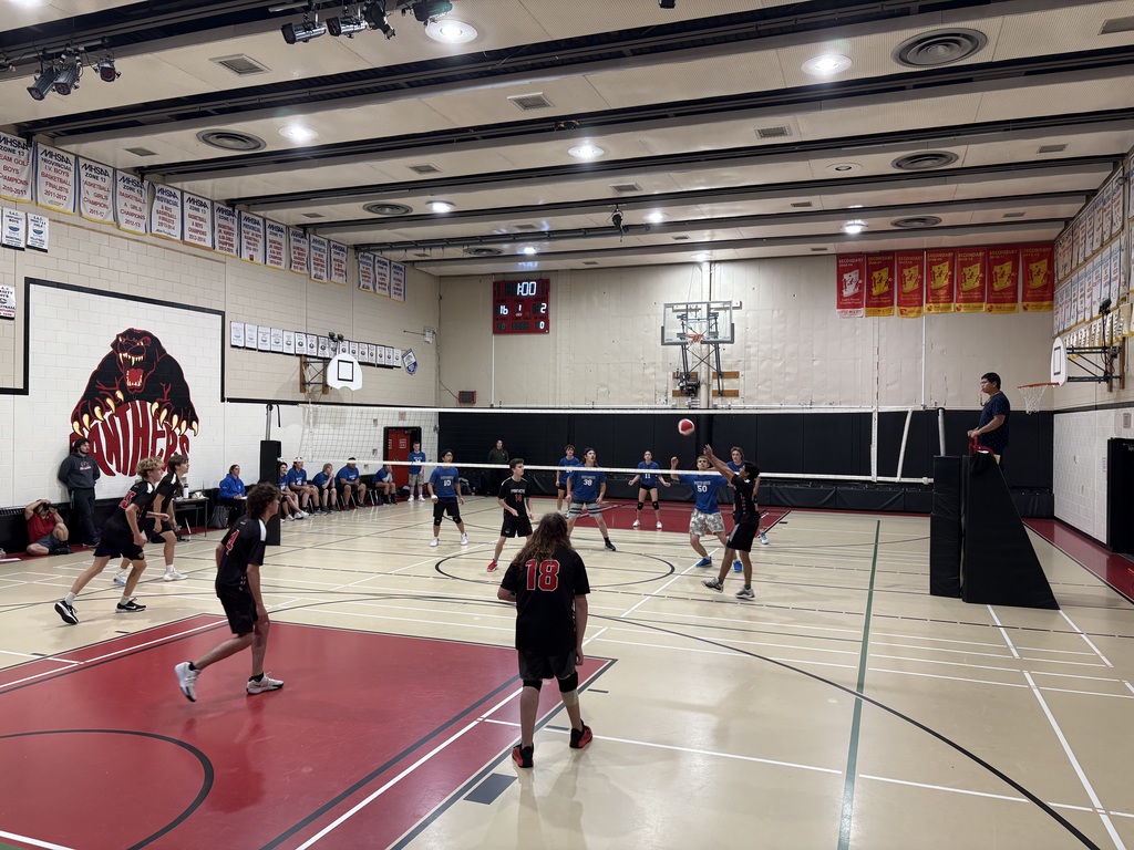vball