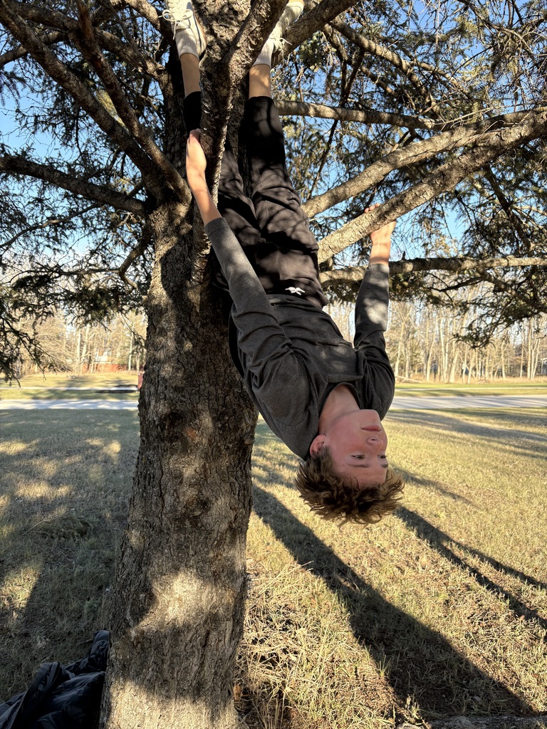 student in tree