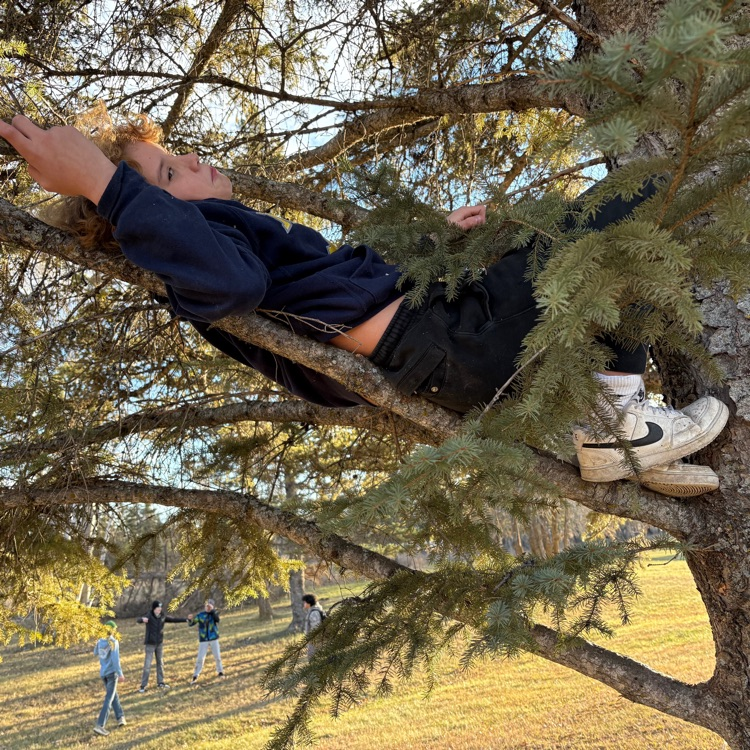 kid in tree