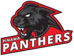 panther logo