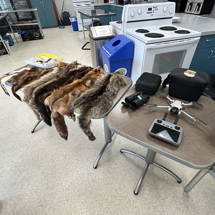 pelts