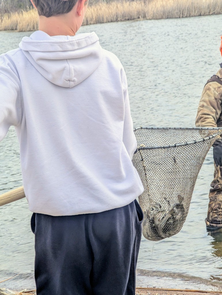 fish stocking