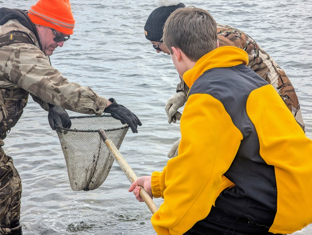 stocking fish