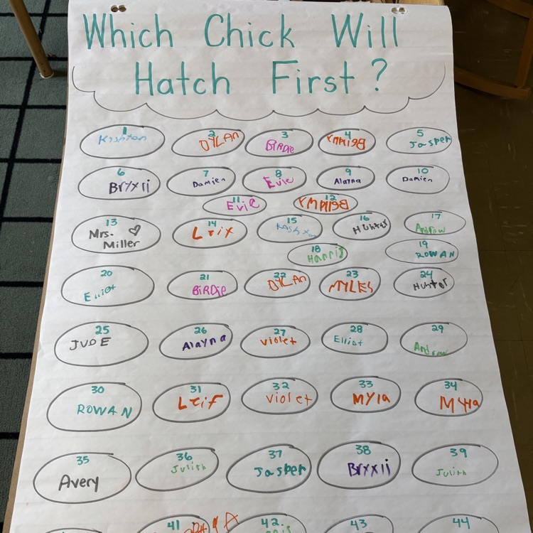 hatch 