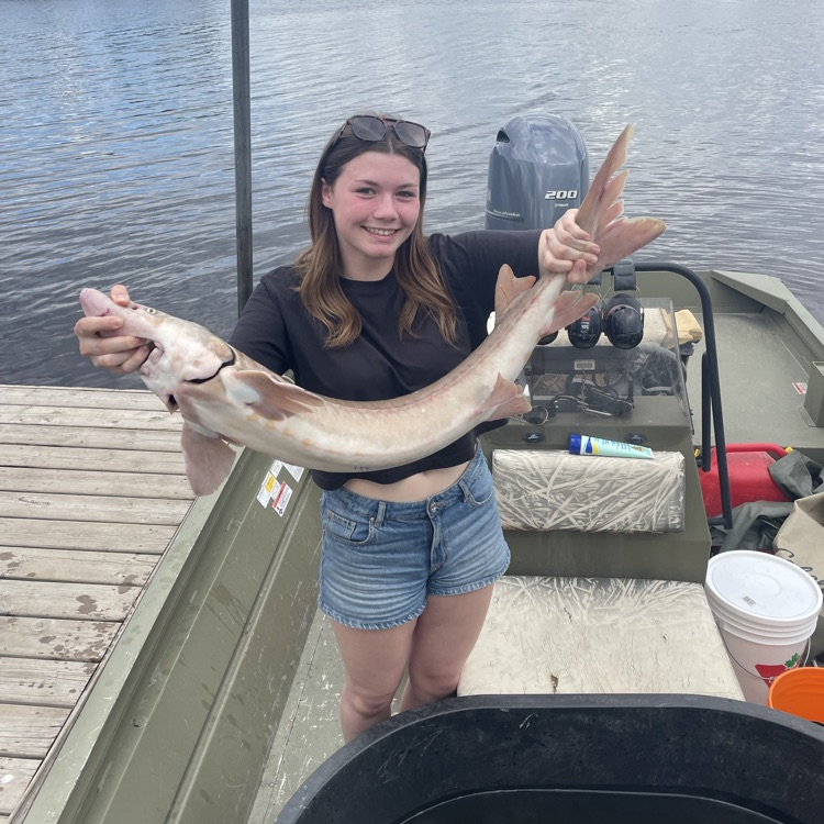 fish