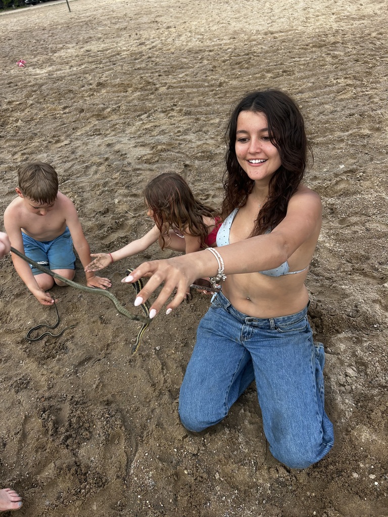 snakes on beach