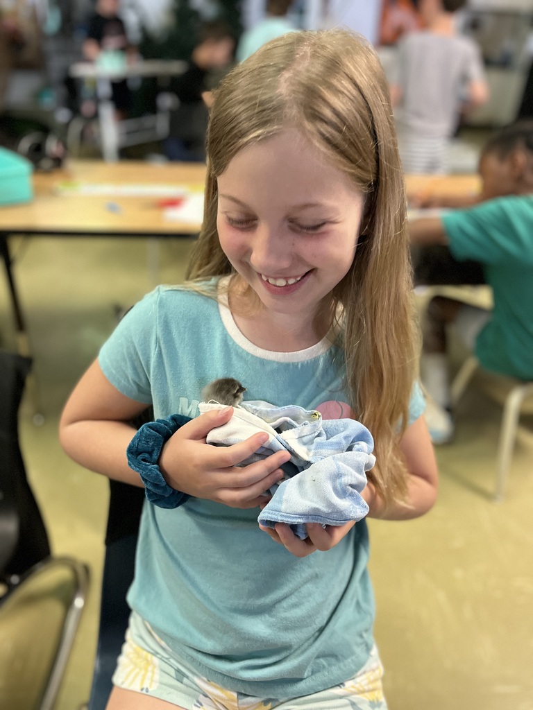 Student with chick