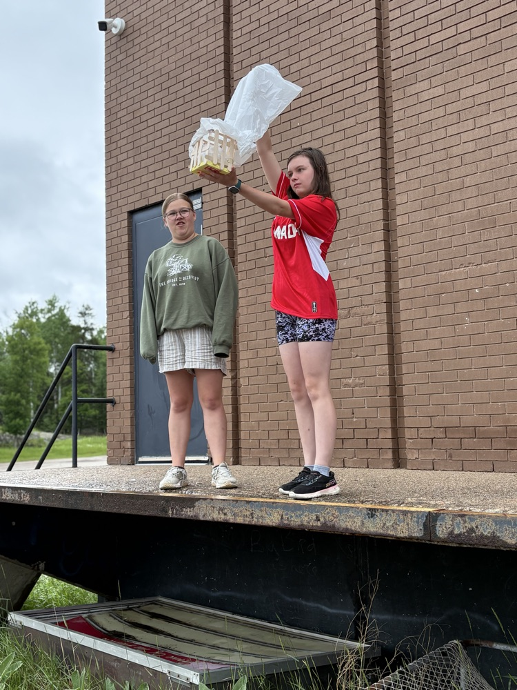 egg drop