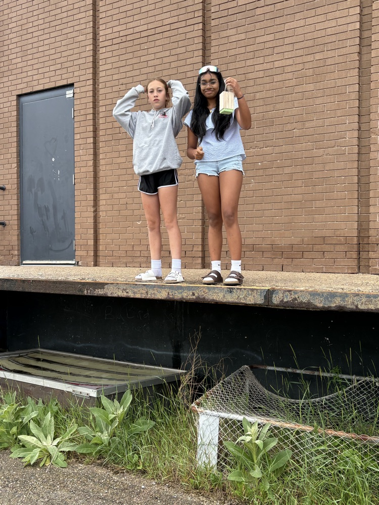 egg drop