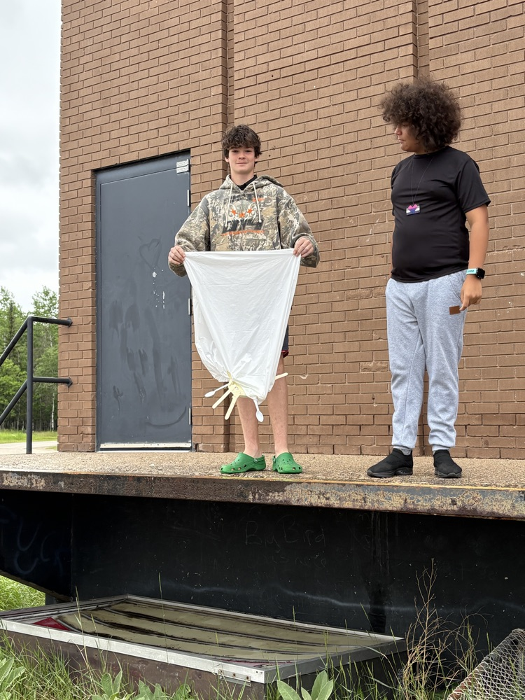 egg drop