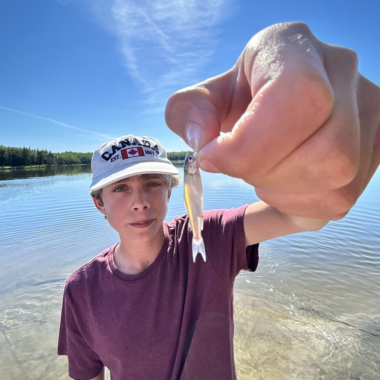 fish