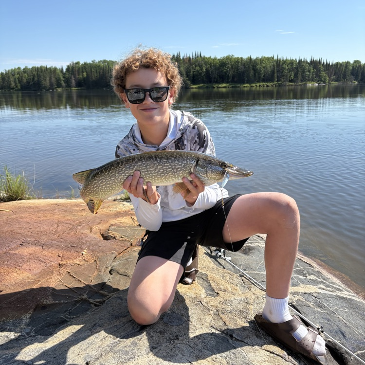 fish