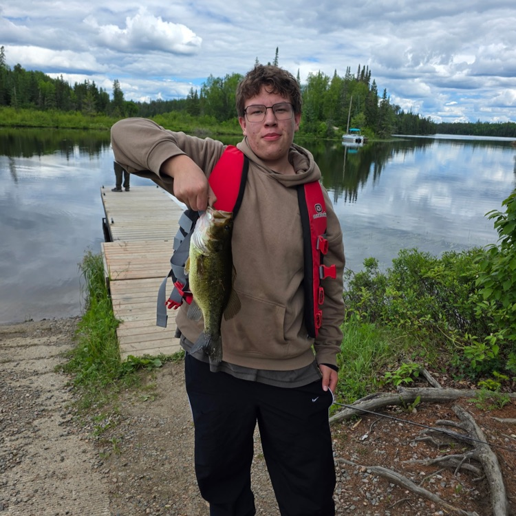fish