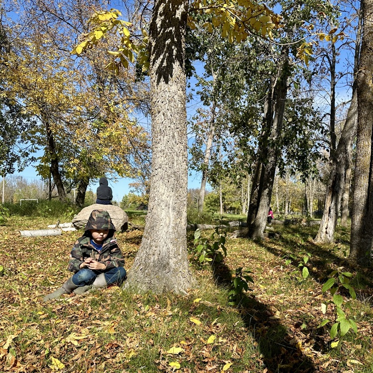 tree