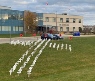 November News in Review