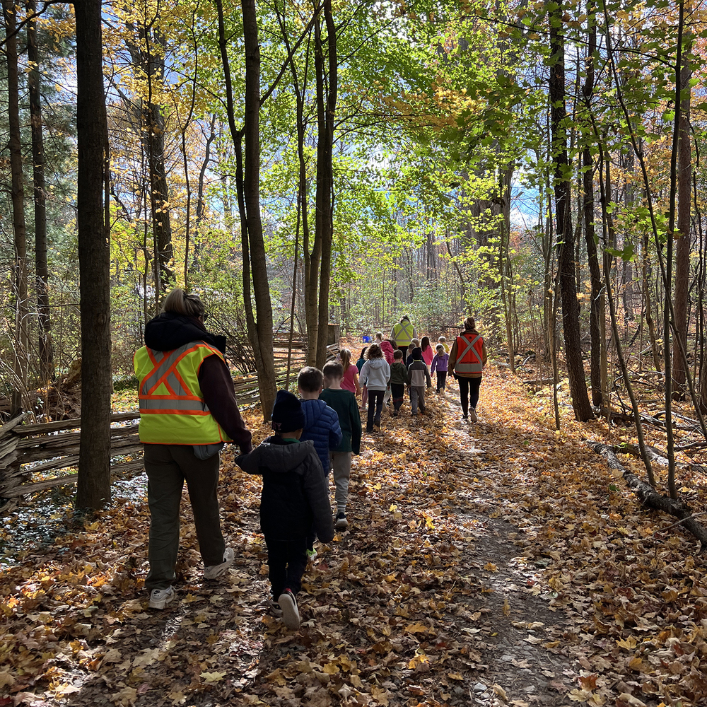 staff and students walking through a forest