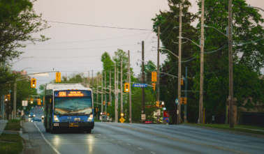 Guelph Transit Bus