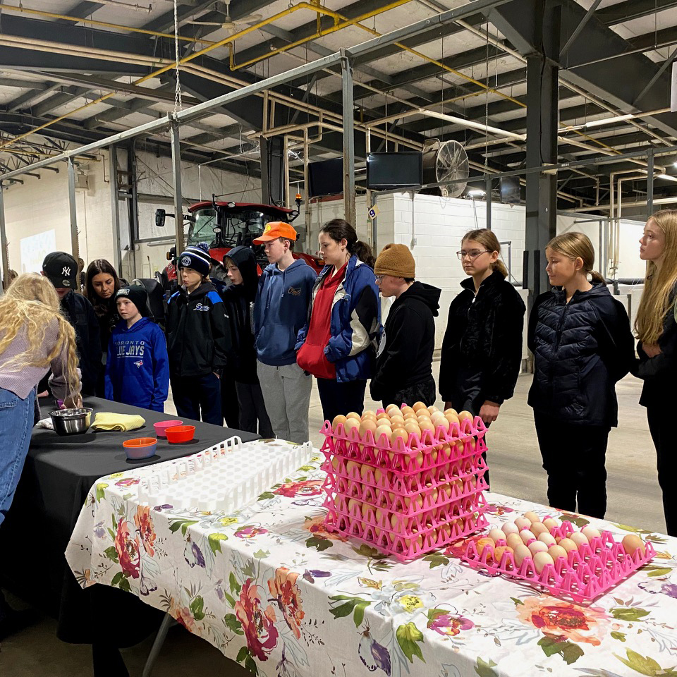 Students stand by a table that holds a lot of eggs