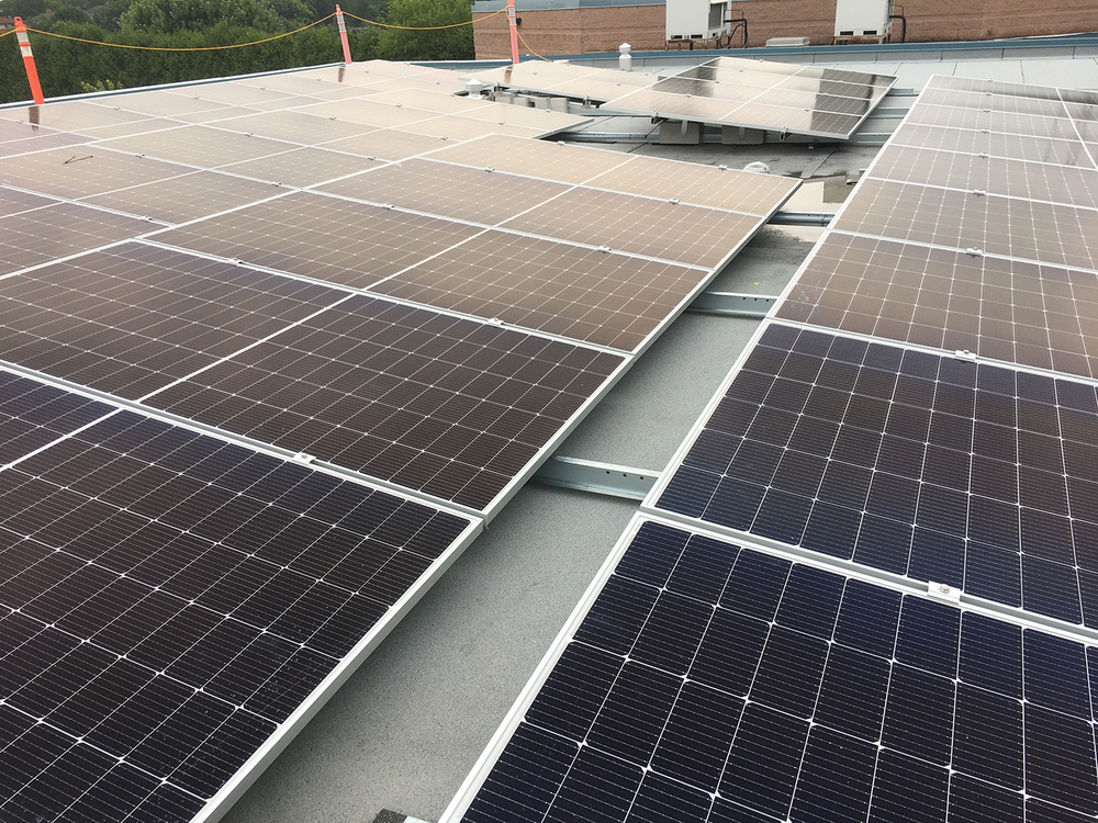 Solar panels pictured on the roof of Taylor Evans PS